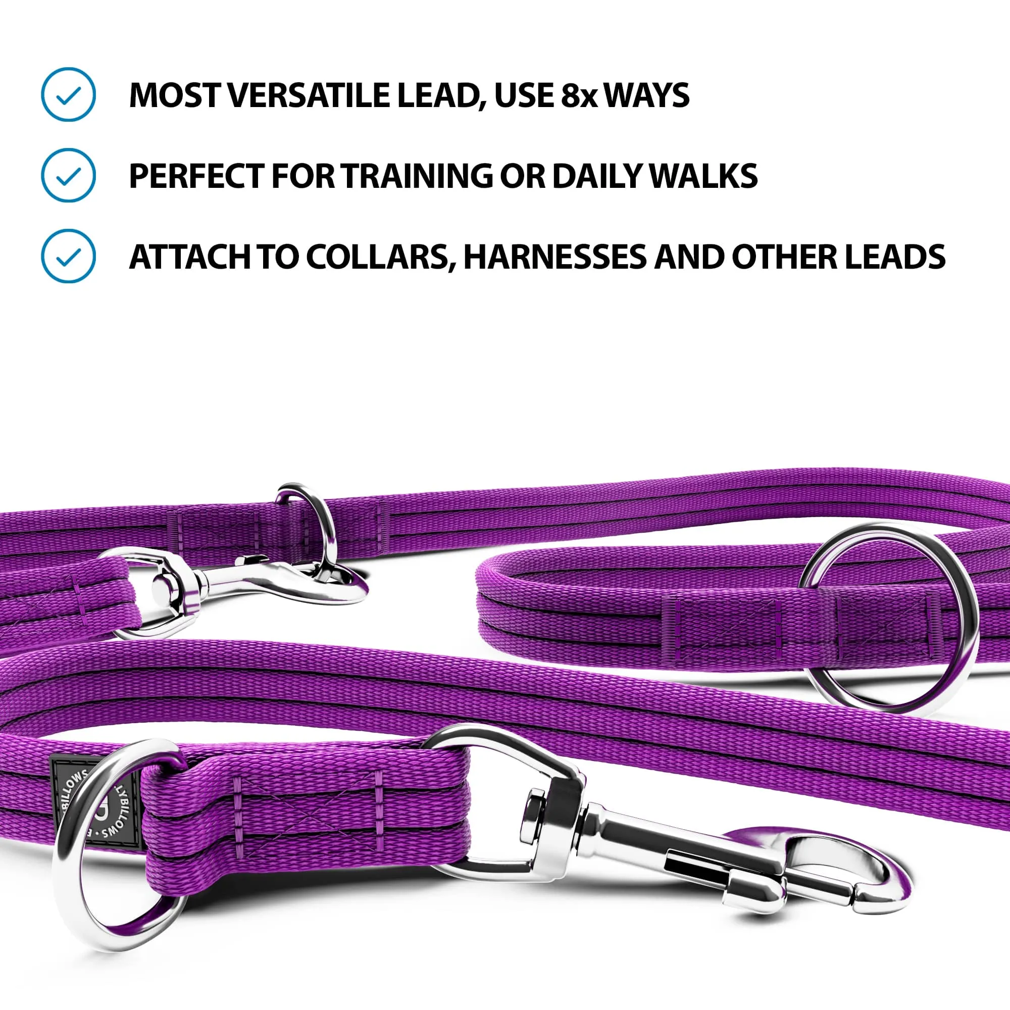 Training Double Ended Dog Lead | 2m Length -  Purple